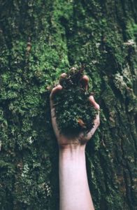 KASIM-25 BURSİYER TOPLANTISI 