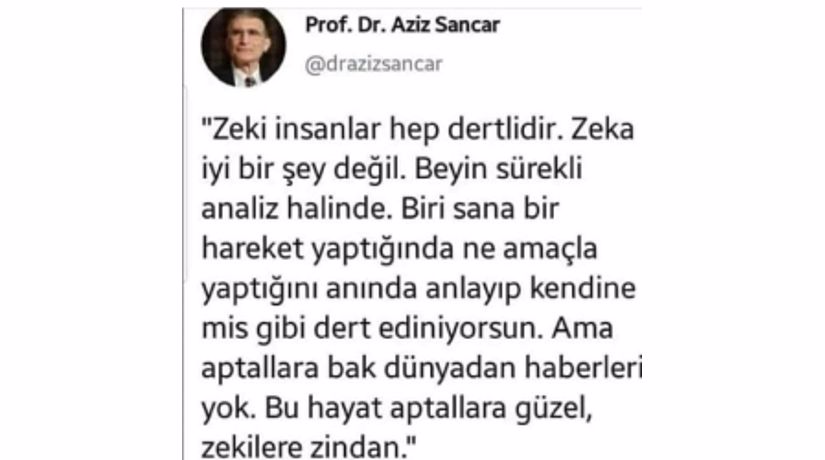 BU HAYAT APTALLARA GÜZEL, ZEKİLERE ZİNDAN