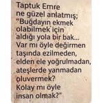 BUĞDAY-UN